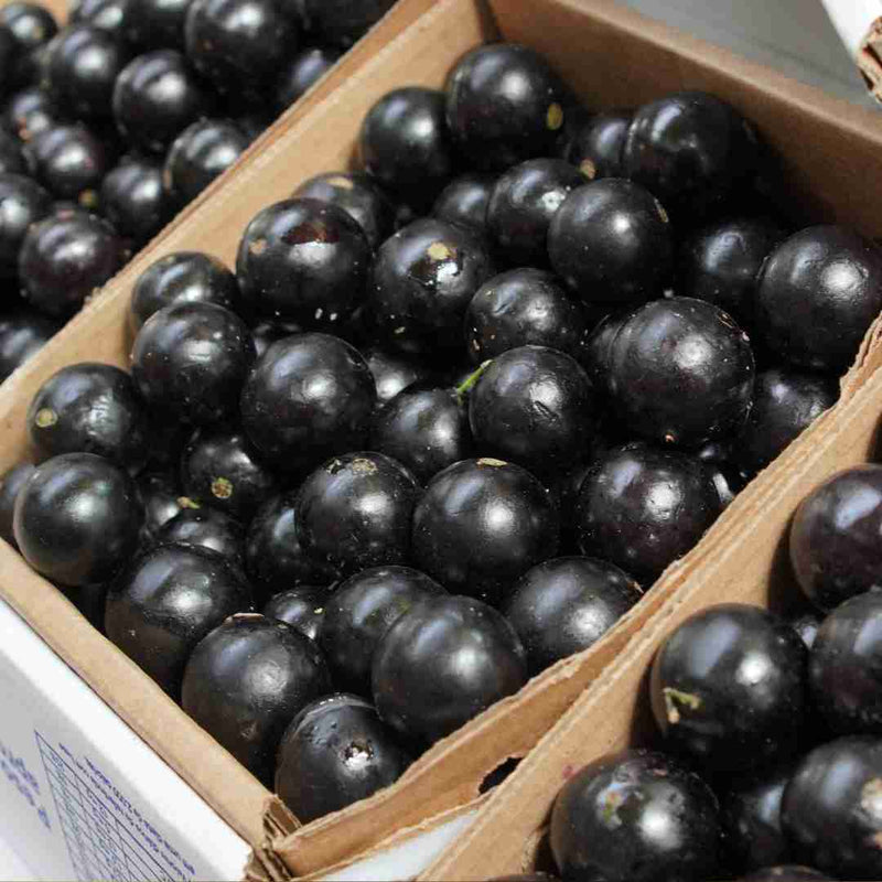 Jabuticaba - 500g