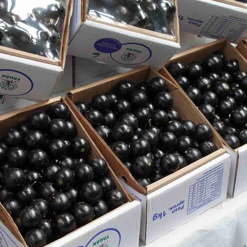 Jabuticaba - 500g