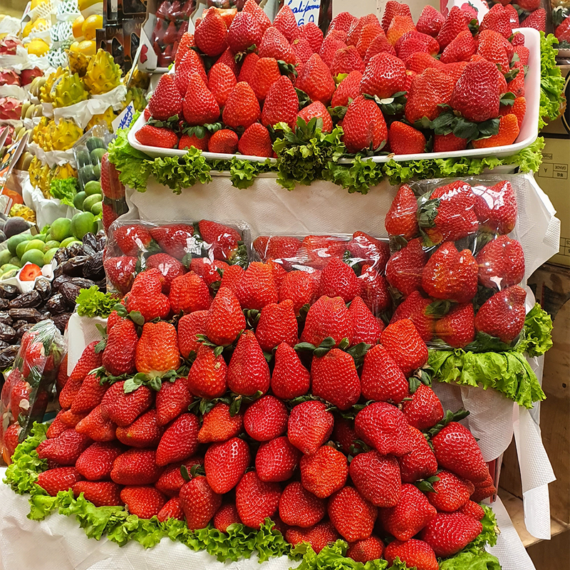 Morango Hidroponico