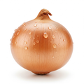 Cebola