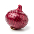 Cebola roxa