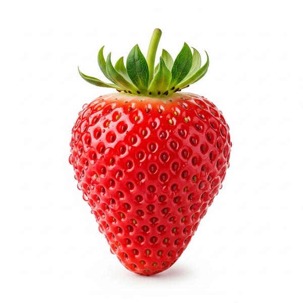 Morango Hidroponico
