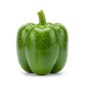 Pimentão Verde