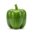 Pimentão Verde