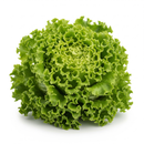 Alface crespa