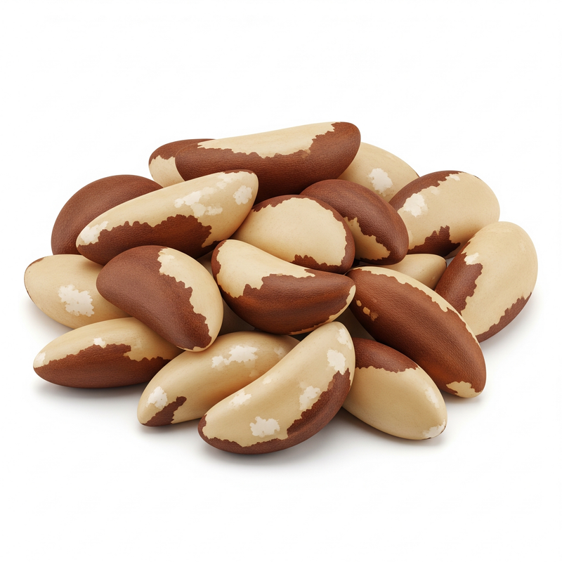 Castanha-do-Pará Extra Large