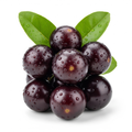 Jabuticaba