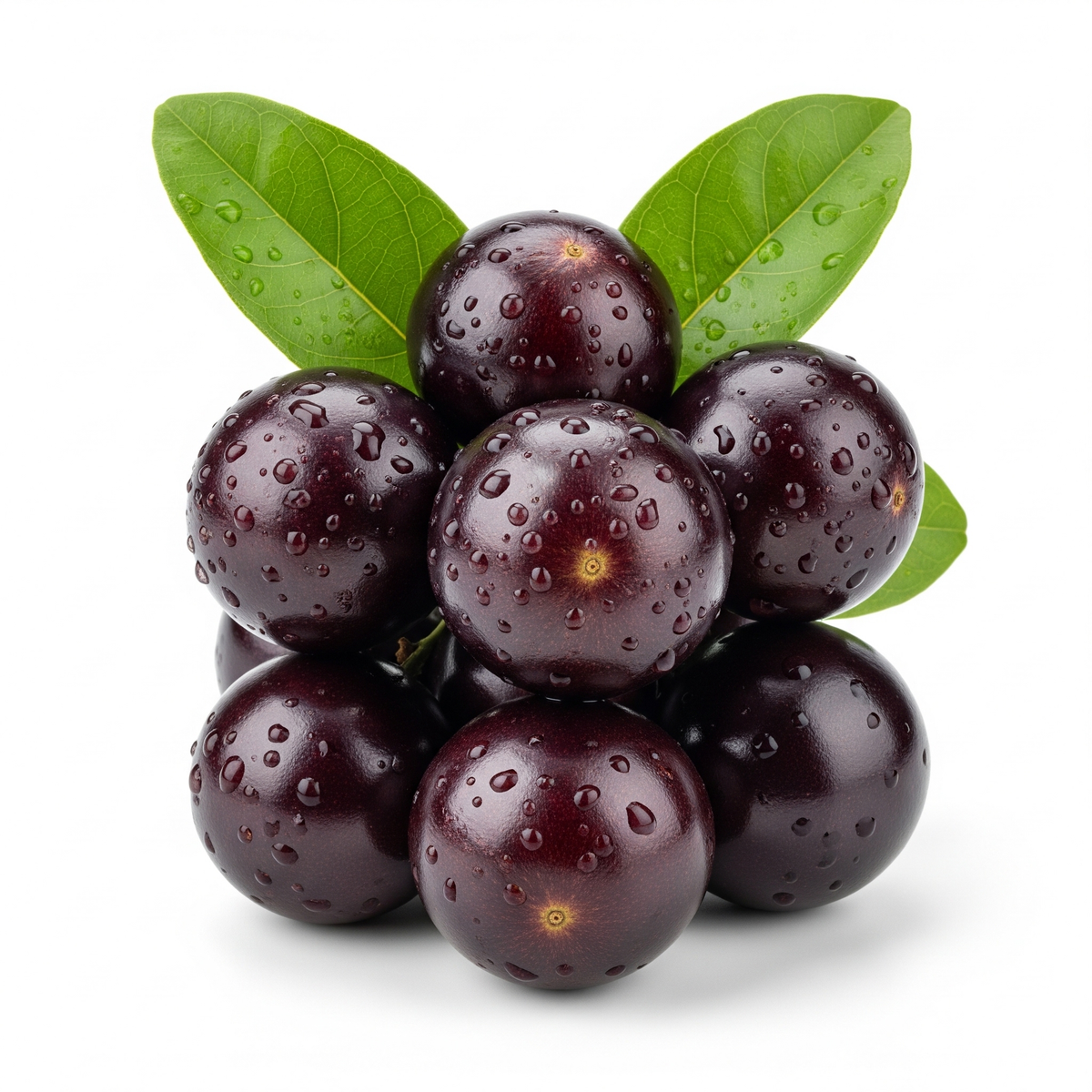 Jabuticaba