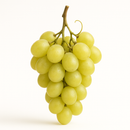 Uva Pilar Moscato Premium