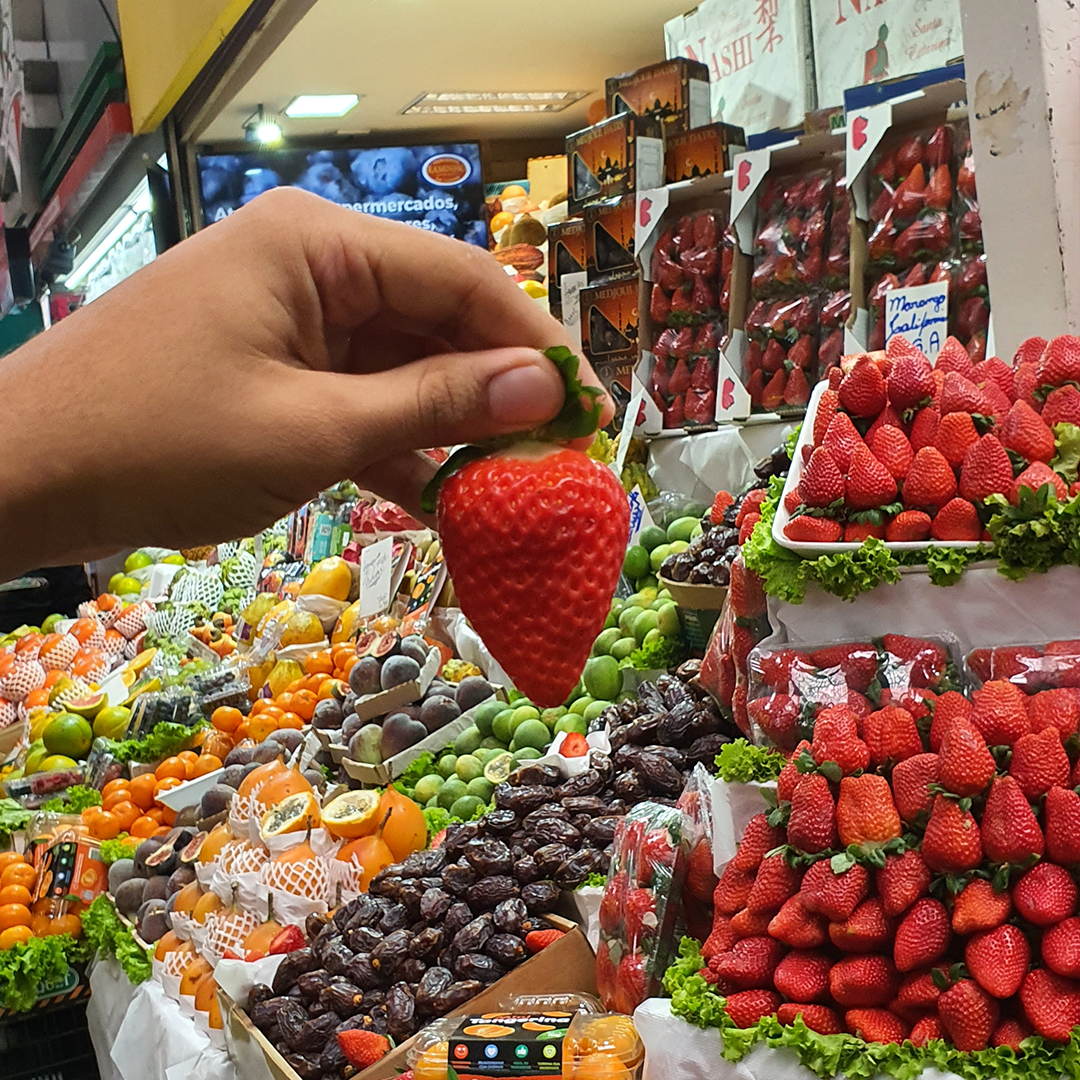 Morango Hidropônico — Cultivado sem solo, colhido no ponto